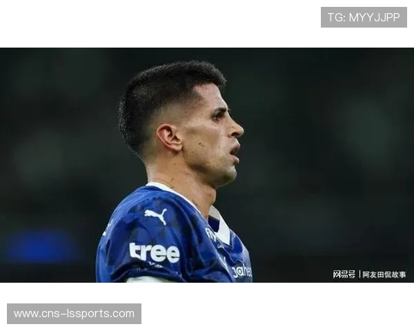 坎塞洛转会利雅得新月延迟，因税务证明问题需CEO签字